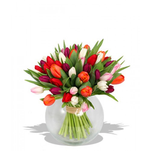 20 Stems Mix Colour Tulips with FREE Vase