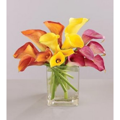 Mixed Colour Lilies with FREE Vase
