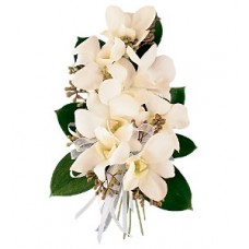 White Dendrobium Flowers - Corsage