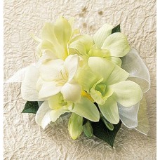 White Orchids & Freesia Corsage