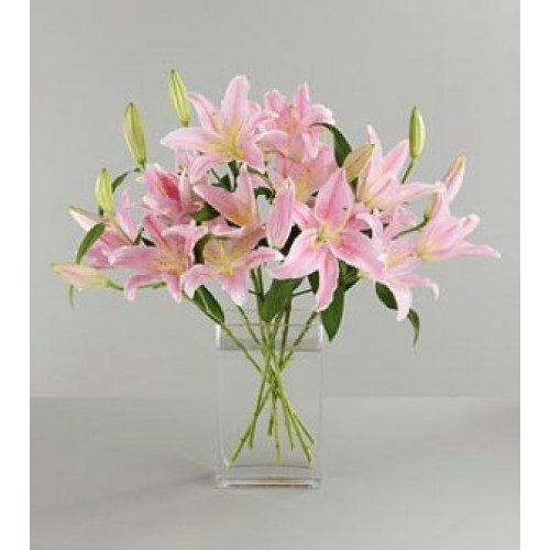 Pink Liliy Flowers in Vase