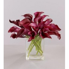 Red Calla Lilies with FREE Vase
