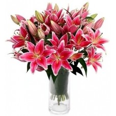 Canadian Fragrant Lilies