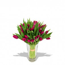 Tulip Wonderland with FREE Vase
