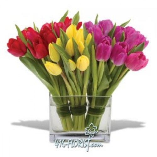 Tulips Flowers with Free Square Vase