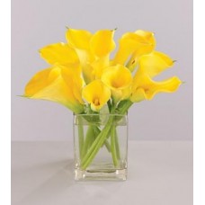 Yellow Calla Lilies with FREE Vase