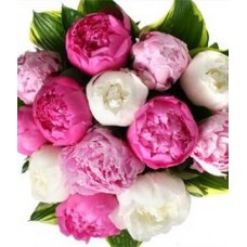 Bouquet of Mix Color Peonies