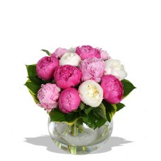 Mix Peonies in a Vase