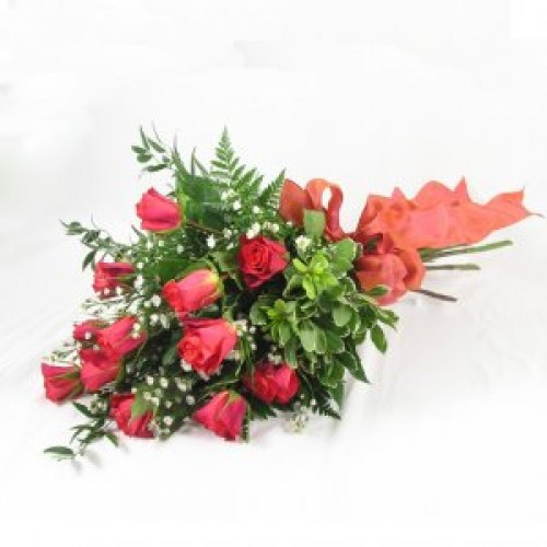 Coral Roses by Flower Shop