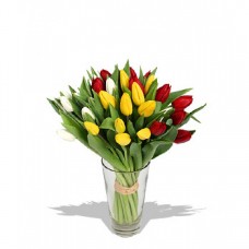 Joyful Bunch Tulips