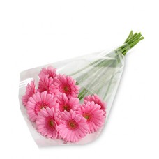 10 Stem Pink Gerbera Daisy Bouquet