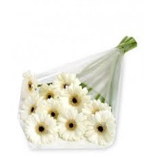 10 Stem White Gerbera Daisy Bouquet