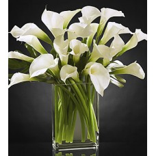 Simplicity Luxury Calla Lily Bouquet - 20 Stems - VASE INCLUDED