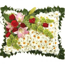 Chrysanthemum Pillow - Condolences Flowers