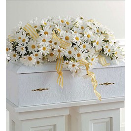 Elegant Daisy Casket Spray