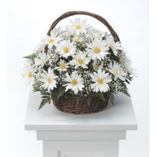 White Daisy Tribute Sympathy Basket