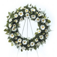 White Daisy Sympathy Wreath