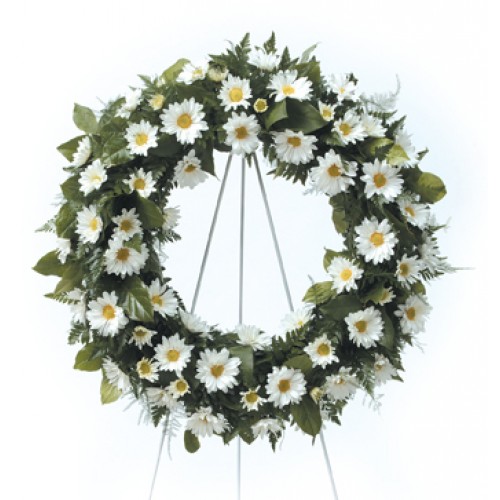 White Daisy Sympathy Wreath