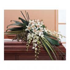 White Funeral Flowers - Orchid Spray