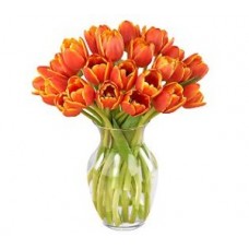 20 Fresh Stems Tulips with FREE Vase