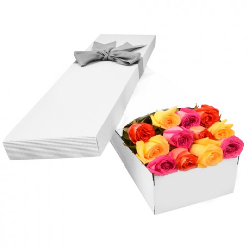 Dozen Multi Color Roses 40 cm in a Box