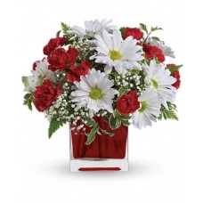 Red And White Vase Delight