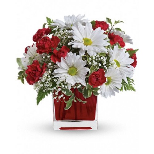 Red And White Vase Delight
