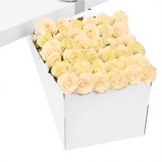 3 Dozen Cream White Roses in a Box 