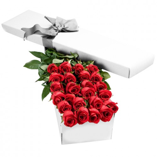 2 Dozen Red Roses